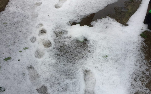 В чувашской деревне выпал град: "Шел минут 20, аж яблоки посыпались"