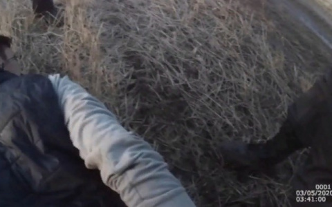 Чем закончилась история со стрельбой о пьяном водителе и 11 друзьях