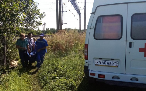 Следователи искали женщину, а нашли мужчину без сознания у ж/д путей