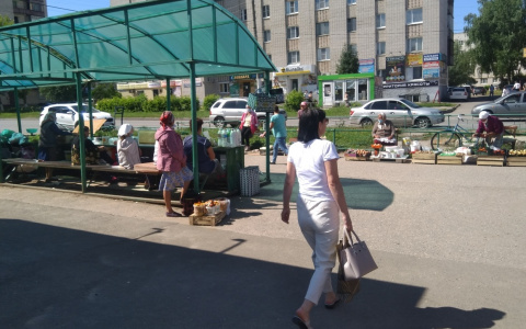 В Чувашии повысили прожиточный минимум почти на 500 рублей