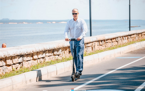 Ладыков отчитался о доходах за 2019 год