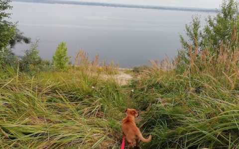 В Чувашии начинает подниматься температура