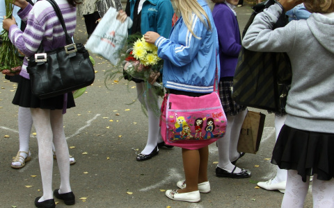 Школы Чувашии защитят от террористов на 54 млн рублей