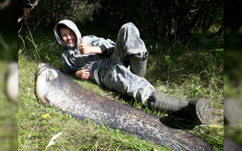 Чебоксарец поймал на Суре 38-килограммового сома: "Я подумал, что это мелкая рыбешка"