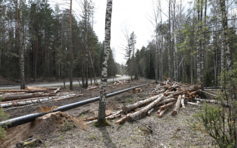 В Заволжье планируют создать природный парк и "губернаторский лагерь"