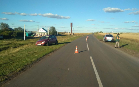 В Чувашии девушка на "Калине" сбила женщину, переводившую через дорогу корову
