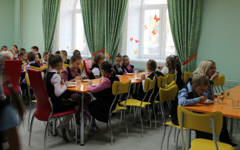 Власти Чувашии пообещали выбор между бесплатным завтраком и обедом