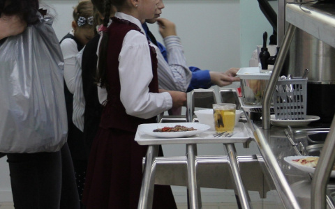 Чебоксарские чиновники запустили голосование: бесплатный завтрак или обед сделать для школьников?