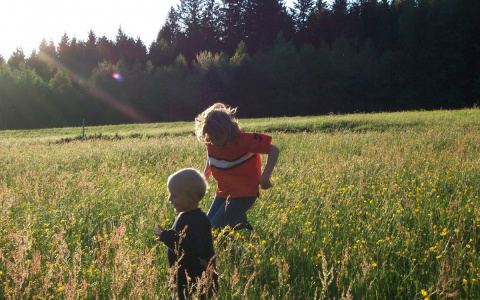 Чебоксарку лишили родительских прав, ее четверо малышей остались без семьи