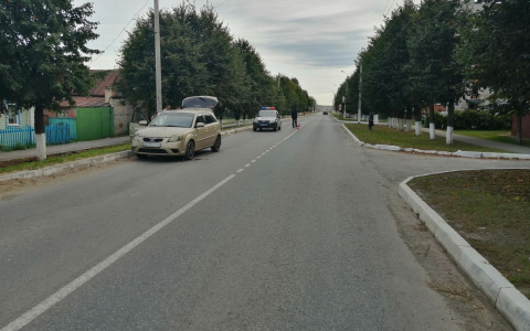 В Кугесях 4-летний ребенок неожиданно выбежал на дорогу и оказался под колесами иномарки