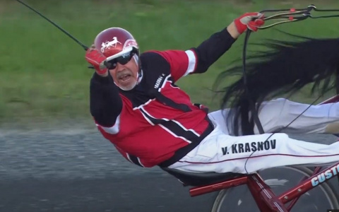 Владелец о самом быстром коне Чувашии: "Мы взяли его хромым и вылечили"