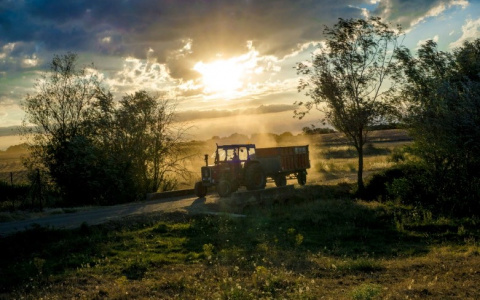 Безработным Чувашии предлагают стать трактористом, лифтером, поваром или кем-то другим