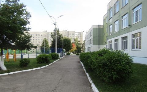 "Свиньи, нищеброды, бездарье, урну надену на башку": учитель русского языка отчитала 5-классников в Чебоксарах