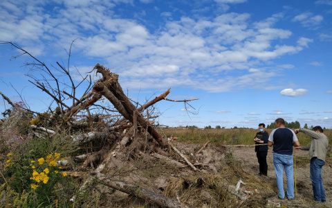 Китайские строители агрокомплекса Чувашии судятся с подрядчиками