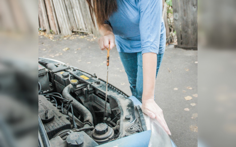Чебоксарка отдала "автоэксперту" 20 тысяч рублей, и он исчез с деньгами