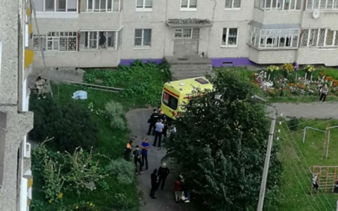 Очевидцы о падении девочки из окна: "Кричала, что хочет гулять"