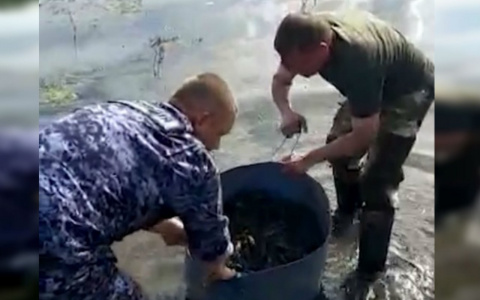 Полицейские схватили марийца, который своровал из Суры тысячу чувашских раков