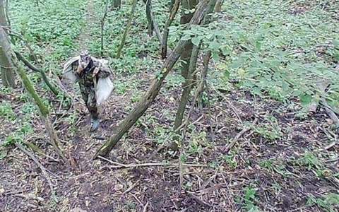 Как в особой зоне браконьера ловили: фотоловушка в лесу, засада и шкура в качестве доказательства