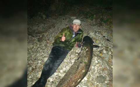 "Сидел на судака, а поймал 20-килограммового сома": житель Чувашии о своей неожиданной удаче