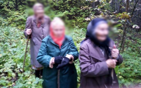 В Чувашии бабушки потерялись в лесу, но не бросили корзинки с опятами