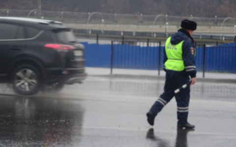 В Чувашии друг пьяного водителя напал на инспектора ДПС, который их остановил