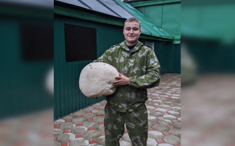 Гриб-гигант нашли в Шемуршинском районе