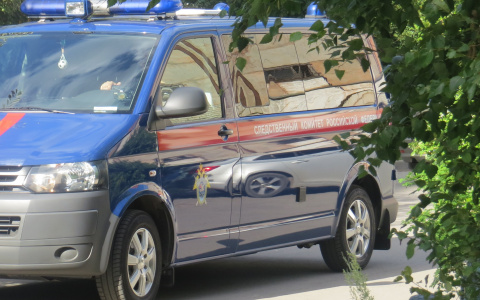 12-летний мальчик залез на столб ЛЭП и погиб от удара током