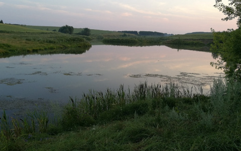 В Чувашии тело пропавшего мужчины нашли в пруду
