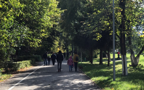 Чувашии выделили 575 млн рублей на ежемесячные выплаты за третьего ребенка