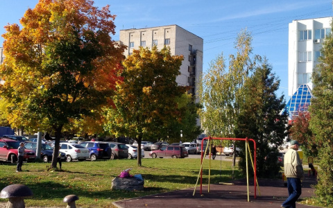 До 20 градусов потеплеет в Чувашии пятничным днем