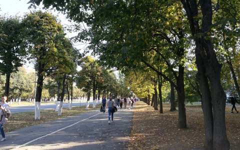 Сколько в Чувашии продлится бабье лето?