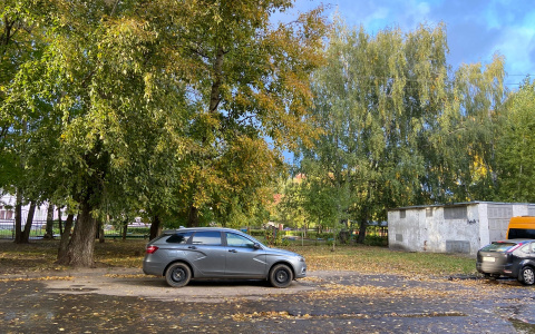 Синоптики рассказали, каким будет последнее воскресенье сентября