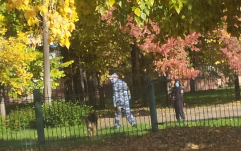 В Чебоксарах спецслужбы эвакуировали и оцепили школу