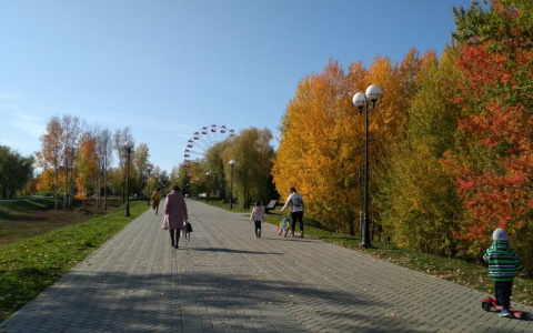 Бабье лето задержится в Чувашии сверх прогноза