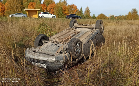 В Чебоксарском районе "Рено" вылетел в кювет: очевидцы говорят, что его подрезал неизвестный