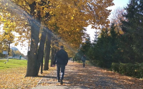 Бабье лето в Чувашии становится жарким