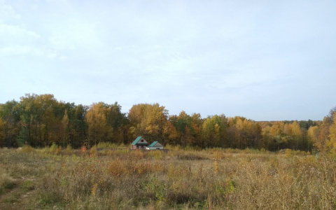 МЧС Чувашии предупреждает о неблагоприятных явлениях