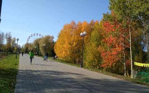 Аномальное тепло придет в Чувашию на этой неделе