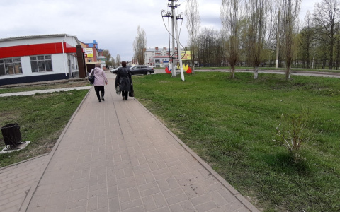 Банк «Открытие»: «68 % жителей Приволжья уже имеют либо планируют создать накопления на старость»