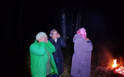 Марийский "леший" продолжает уводить жителей Чувашии в дремучий лес