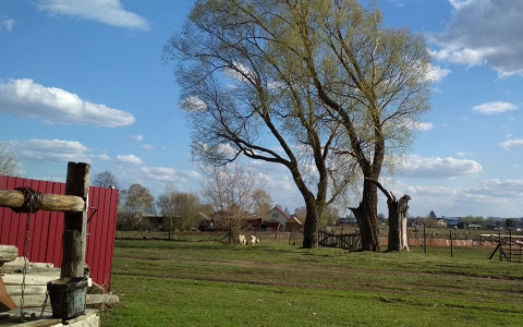 Синоптики Чувашии прогнозируют заморозки на почве до -2