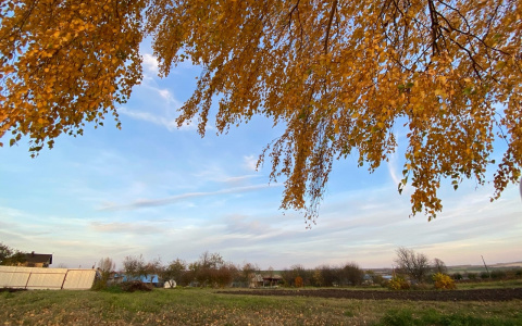 Неблагоприятные природные явления ожидаются в Чувашии в понедельник