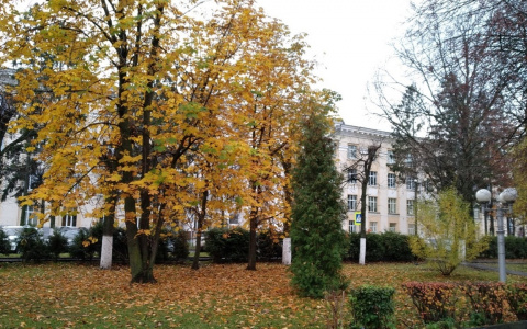 Студентов ЧГПУ частично перевели на дистанционное обучение