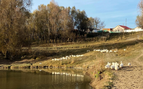 Чувашия прогреется до +20 градусов