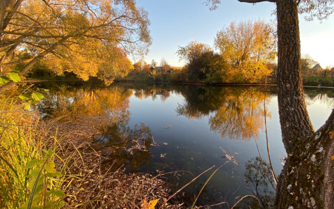 Холод не отступит: прогноз погоды на четверг