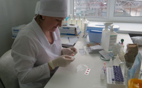 Вакцинацию от коронавируса начнут делать бесплатно