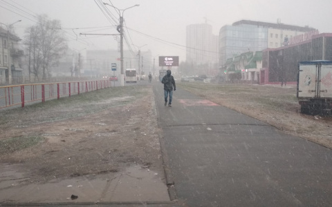 Снег с дождем обещают завтра в Чувашии