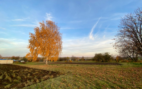 Синоптики Чувашии предрекают понижение температуры до минус пяти
