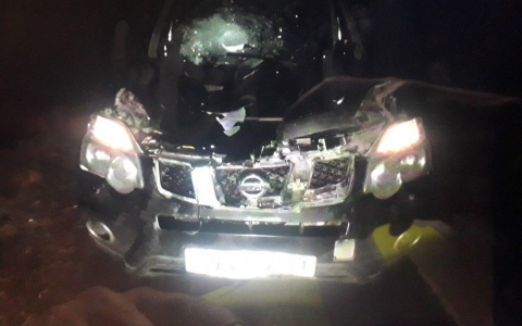 В Ядринском районе насмерть сбили мужчину, перебегавшего дорогу