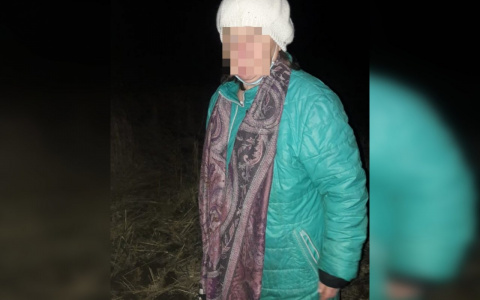 Чебоксарка срезала в незнакомом месте путь и заблудилась: "Кругом поля, овраги"